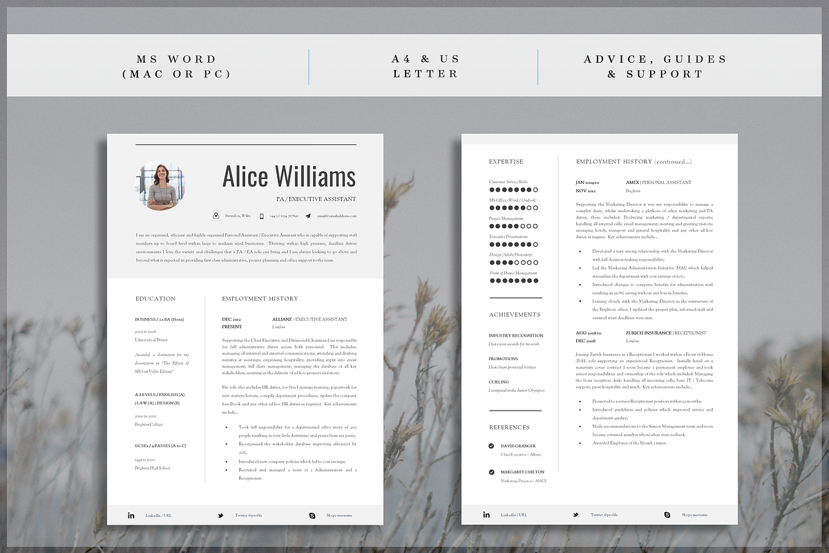 Professional Resume Template, a Resume Template by introDuice - CV / Resumes (Photo 3 of 7)