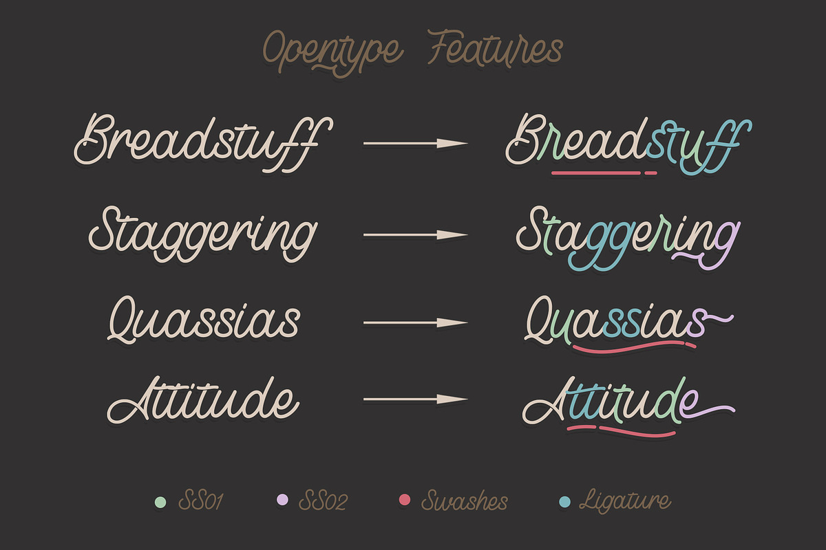 Lostown Monoline Script, a Script Font by Rochart (Photo 6 of 13)