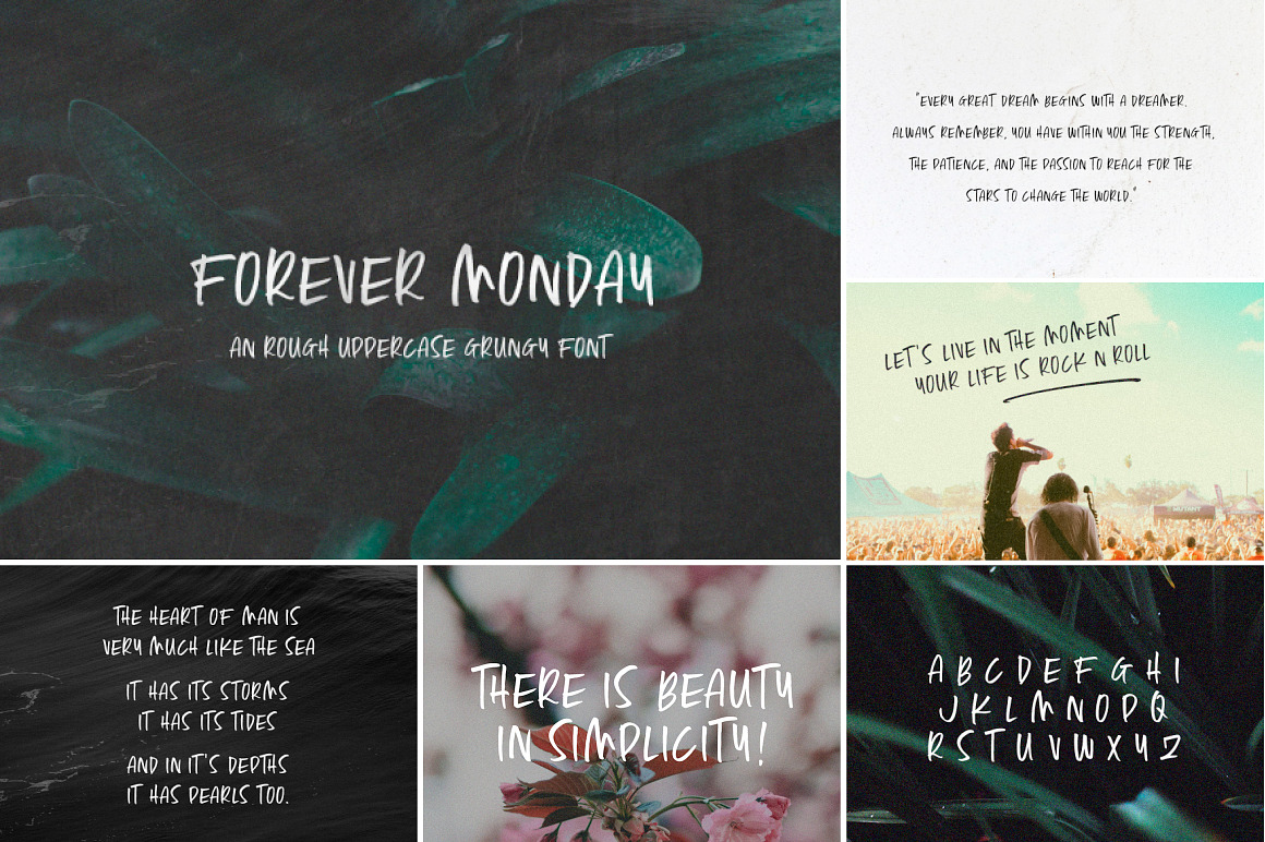 The HUGE Font Bundle (98% OFF) SALE, a Sans Serif Font by Salt & Pepper Designs (Photo 114 of 185)