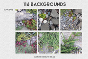 Natural Background Post Generator, a Social Media Template by WBS Design (Thumbnail 3 of 11)