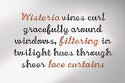 CS Melanie – Etchy Font, a Script Font by Craft Supply Co. (Thumbnail 6 of 8)