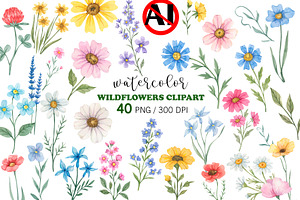 Wildflower Watercolor Clipart PNG