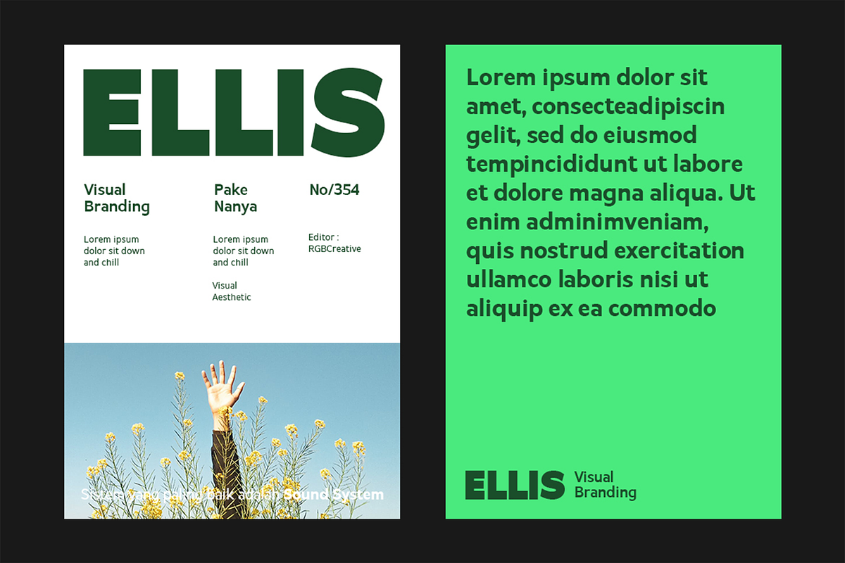 Itagi Sans - Modern Humanist Font, a Sans Serif Font by Pekotype (Photo 4 of 9)
