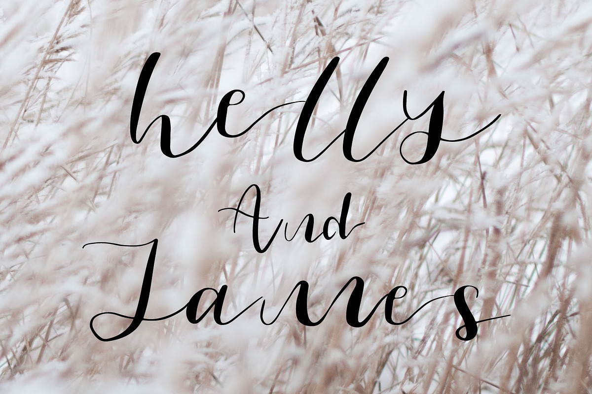 follow font preview 2