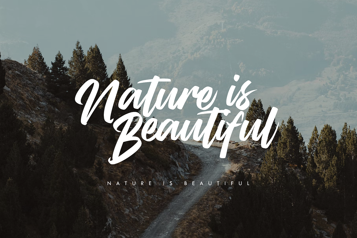 Vendetta Handstylish Font preview 6