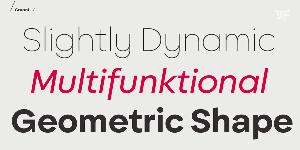 BF Garant, a Sans Serif Font by BrassFonts (Photo 2 of 14)