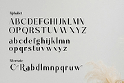 Davinca, a Sans Serif Font by Zafiratype (Thumbnail 13 of 14)