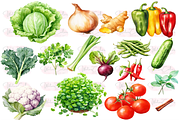 Vegetables Collection Clipart, a Food Illustration by Watercolor Digital (Thumbnail 2 of 9)