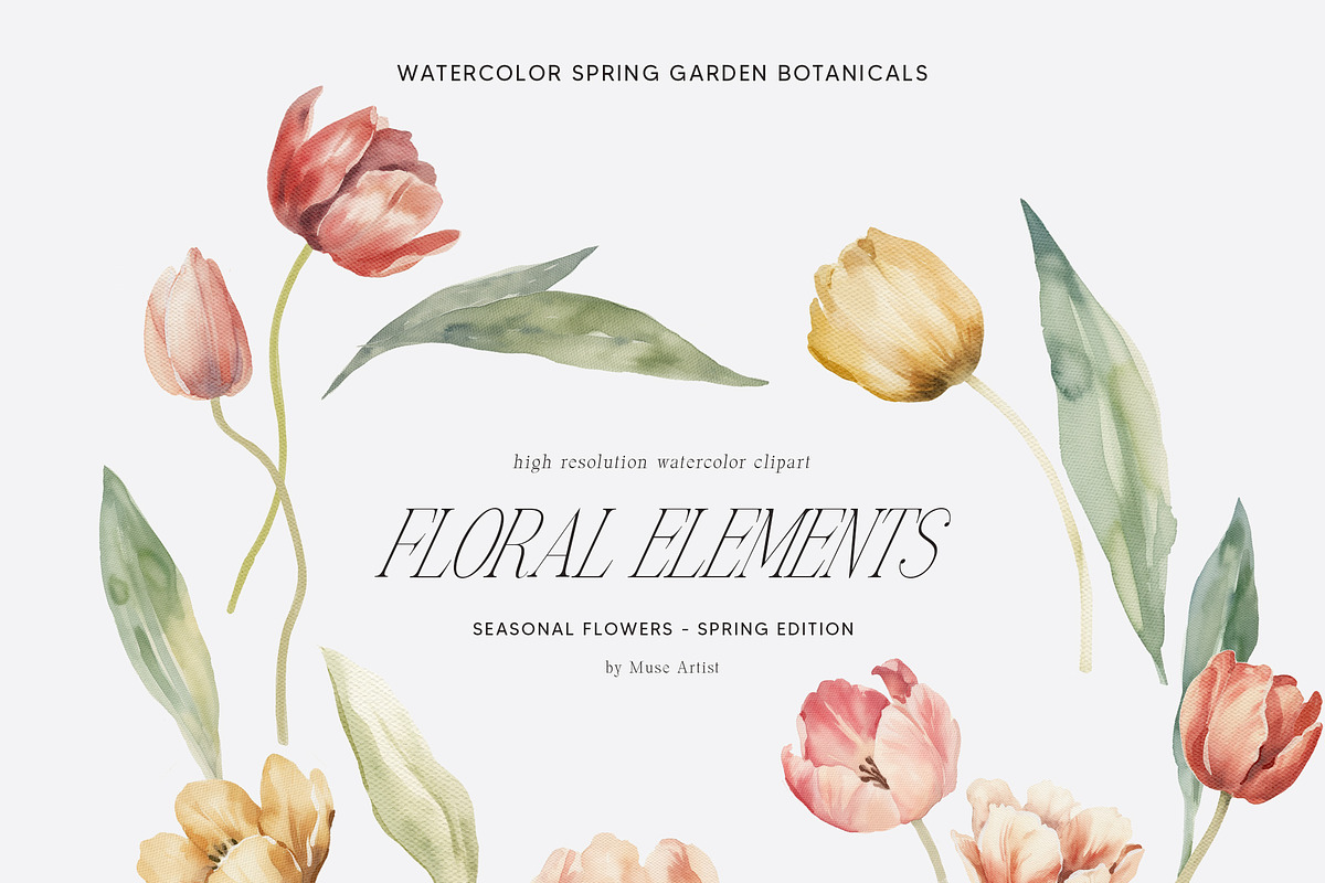 SPRING BOX Watercolor Bundle 400+, a Decorative Illustration by Muse Artist (Photo 6 of 99)