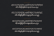 Newstalgia - Handwritten Font Script, a Handwritten Font by VP Fonts (Thumbnail 18 of 21)