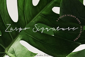 Zarpo Signature - Handwritten Font