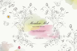 Meadow Mist: Pencil Floral Sketches, a Decorative Illustration by Yuliia Lashevska