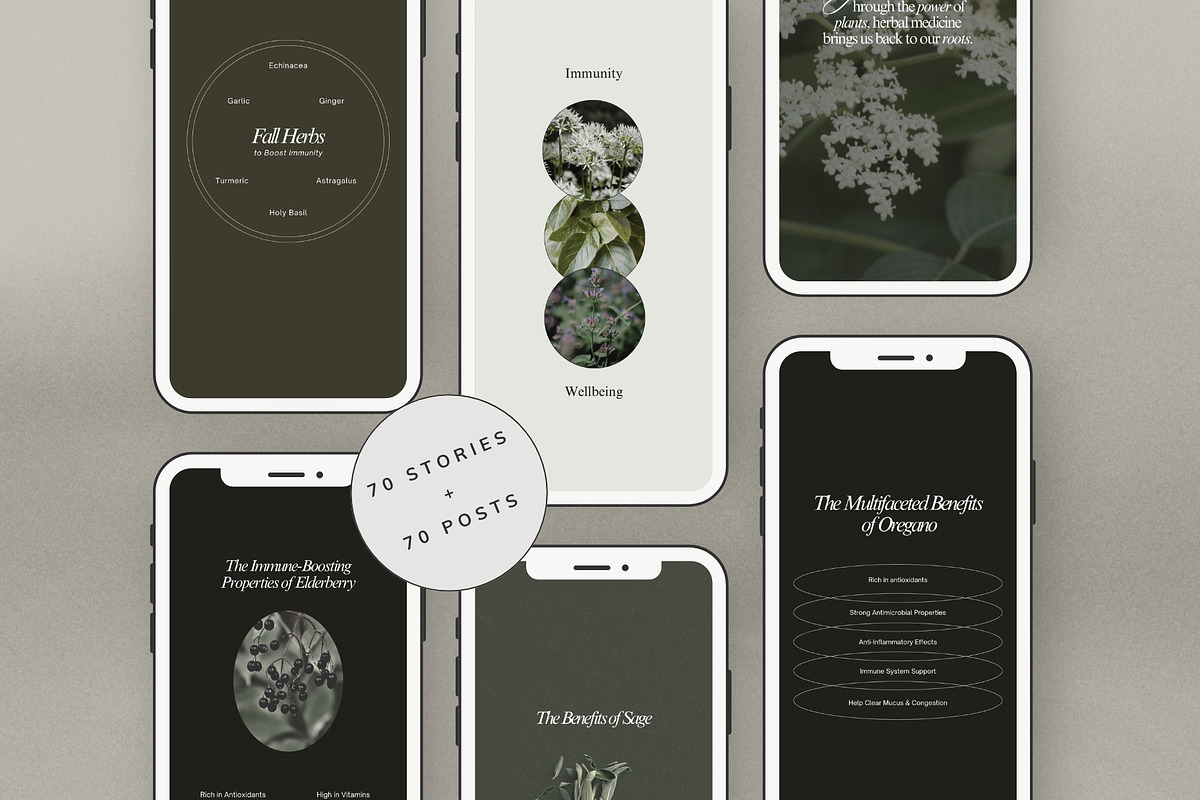 Herbal Medicine Instagram Templates, a Social Media Template by Terraa Studio Design (Photo 5 of 10)