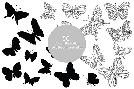 Vector illustration of butterflies