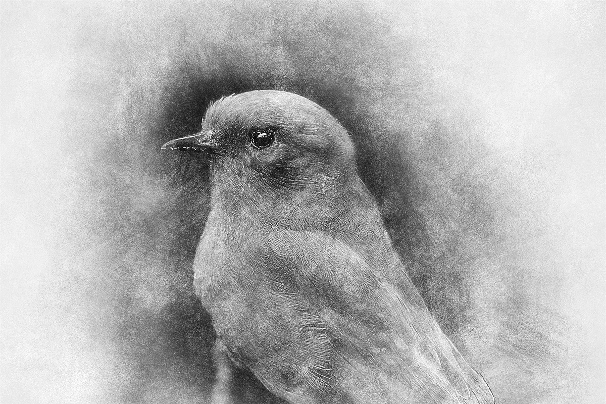Sketch Photoshop Action, an Action Add-On by Sevenstyles (Photo 16 of 22)