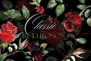 Classic Red Roses
