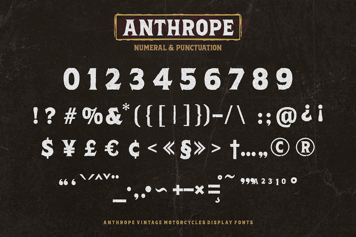 Anthrope, a Serif Font by ilhamtaro (Photo 8 of 10)