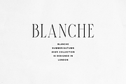 Elantrae & Velto – Modern Font Duo, a Serif Font by Only Fonts (Thumbnail 9 of 10)