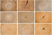 Cut Wood Texture Background, a Texture Graphic by Forhadx5 (Thumbnail 7 of 8)