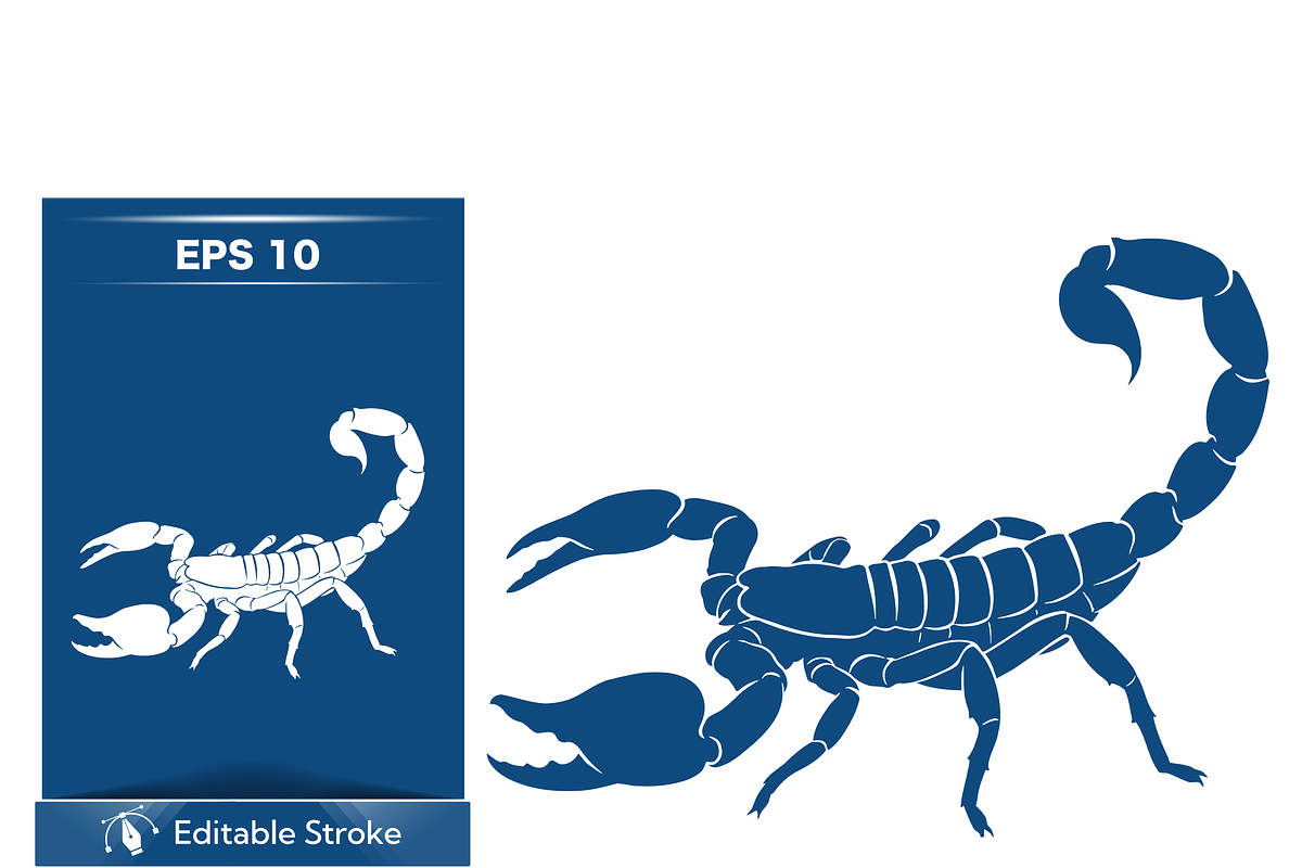 Stylized Scorpion Vector Art, an Object Illustration by CarWrap design (Photo 3 of 3)