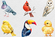 Cute Birds Clipart, an Illustration by Black Bird Studio (Thumbnail 4 of 6)