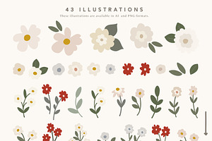 Flower Bundle: Graphics & Patterns