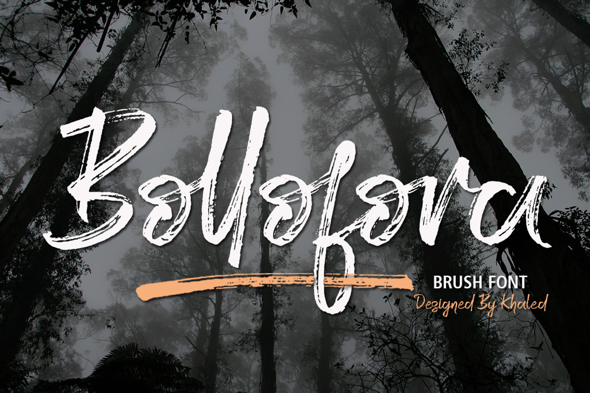 Bollofora - Brush Font, a Script Font by Akifatype. (Photo 1 of 6)