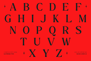 GC Chillon - Stylish Serif Display, a Serif Font by Glyphonic (Thumbnail 4 of 15)