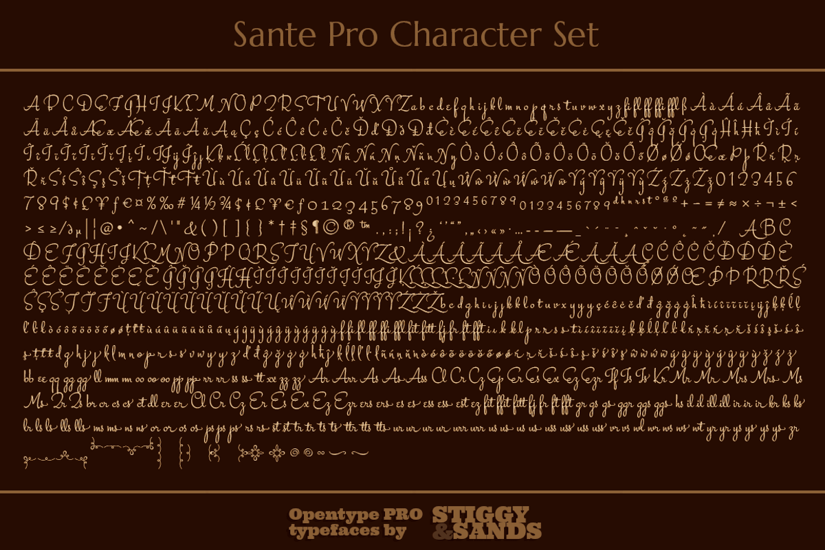 Sante Pro preview 8