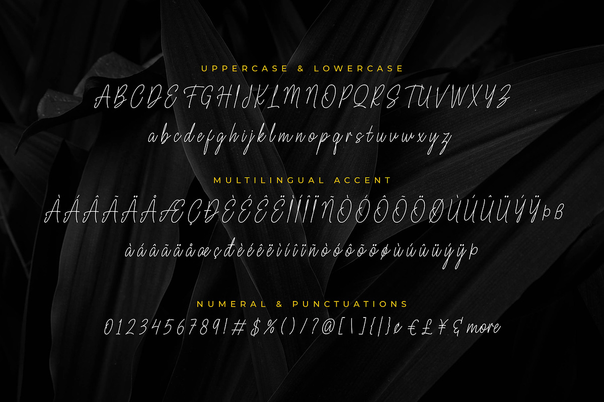 Fioretta Millano – Stylish Signature, a Script Font by Almarkhatype (Photo 9 of 10)