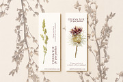 Botanical PNG Elements – 36 Meadow P, an Object Graphic by Aga Silva (Thumbnail 11 of 28)