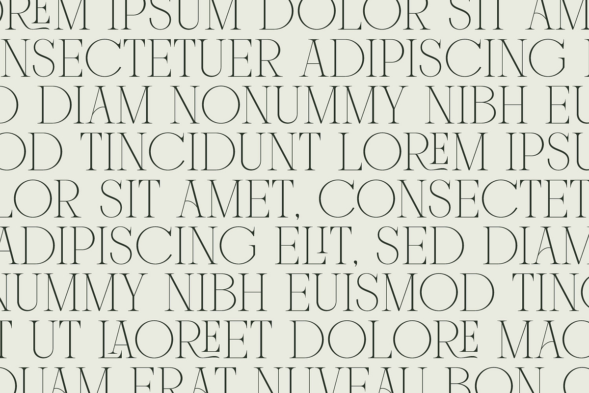 Mounchera - Art Deco Serif, a Serif Font by Variatype (Photo 8 of 14)
