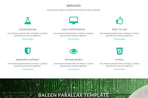 Baleen - One Page Bootstrap Template