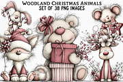 Whimsical Woodland Christmas Animals, an Illustration by Craft Nest (Thumbnail 1 of 6)