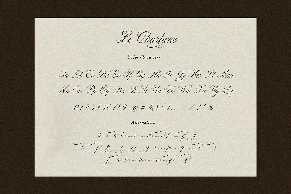 La Charlune | Handwritten Script, a Script Font by Calamar Studio (Photo 19 of 21)