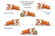 Corgi. Cute Dog, an Animal Illustration by sheincar (Thumbnail 2 of 5)
