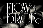 Chiro, a Serif Font by Sign Studio (Thumbnail 2 of 13)