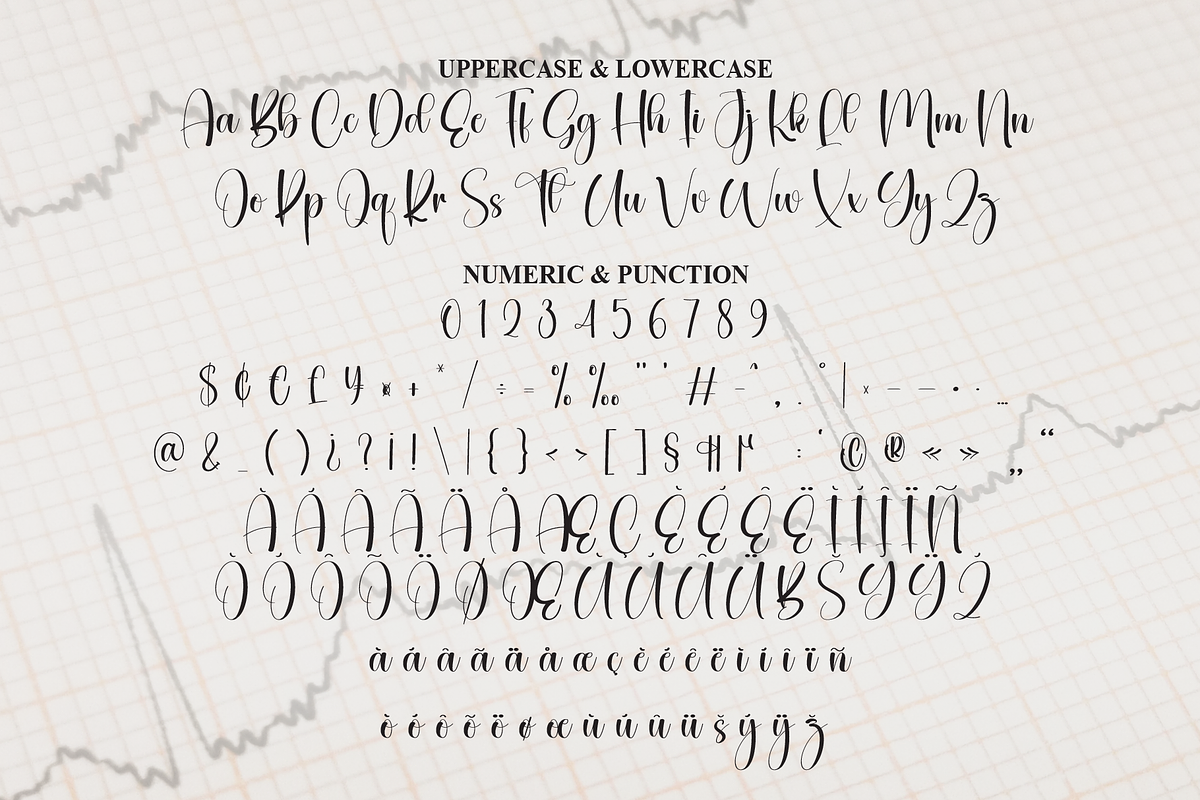Magnitude | Script Font, a Handwritten Font by Scratchones (Photo 7 of 9)