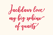 Skatera Handwritten Skate Font, a Script Font by The Traveling Fox (Thumbnail 3 of 4)