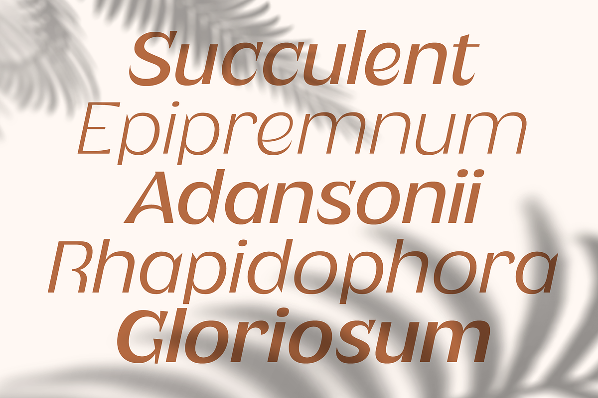 Plenary - A Lovely Sans Display, a Sans Serif Font by Fridaytype (Photo 6 of 12)