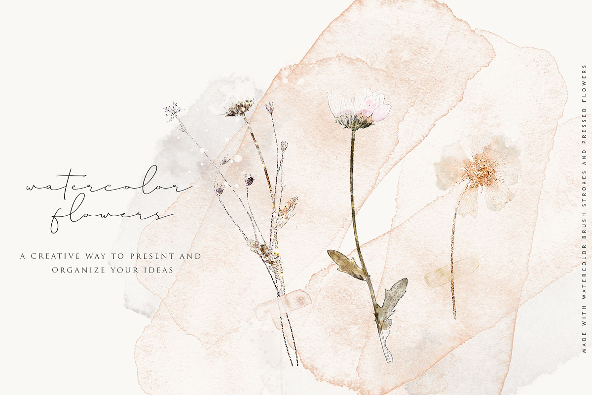 Pressed Flowers & Brush Strokes Png, an Object Graphic by by creative paper (Photo 3 of 17)