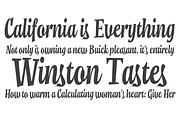 Charlotte Script, a Script Font by Vastago Studio (Thumbnail 2 of 8)