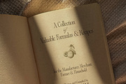 Alizee - Classy Hybrid Serif, a Serif Font by Harmonais Visual (Thumbnail 25 of 29)