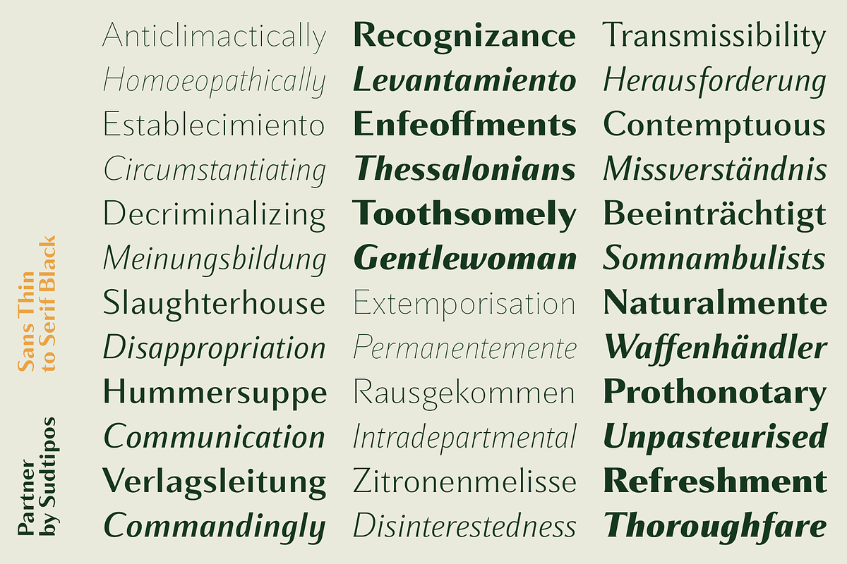 Partner, a Sans Serif Font by Sudtipos (Photo 4 of 7)