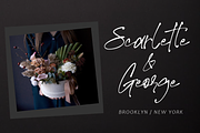 Theory Of Signature, a Script Font by AMINMARIO (Thumbnail 3 of 9)