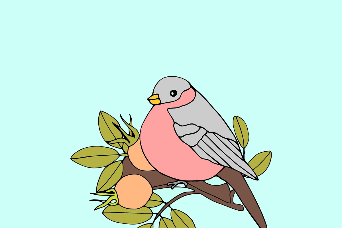 Robin on a branch, an Illustration by ChandniJ1