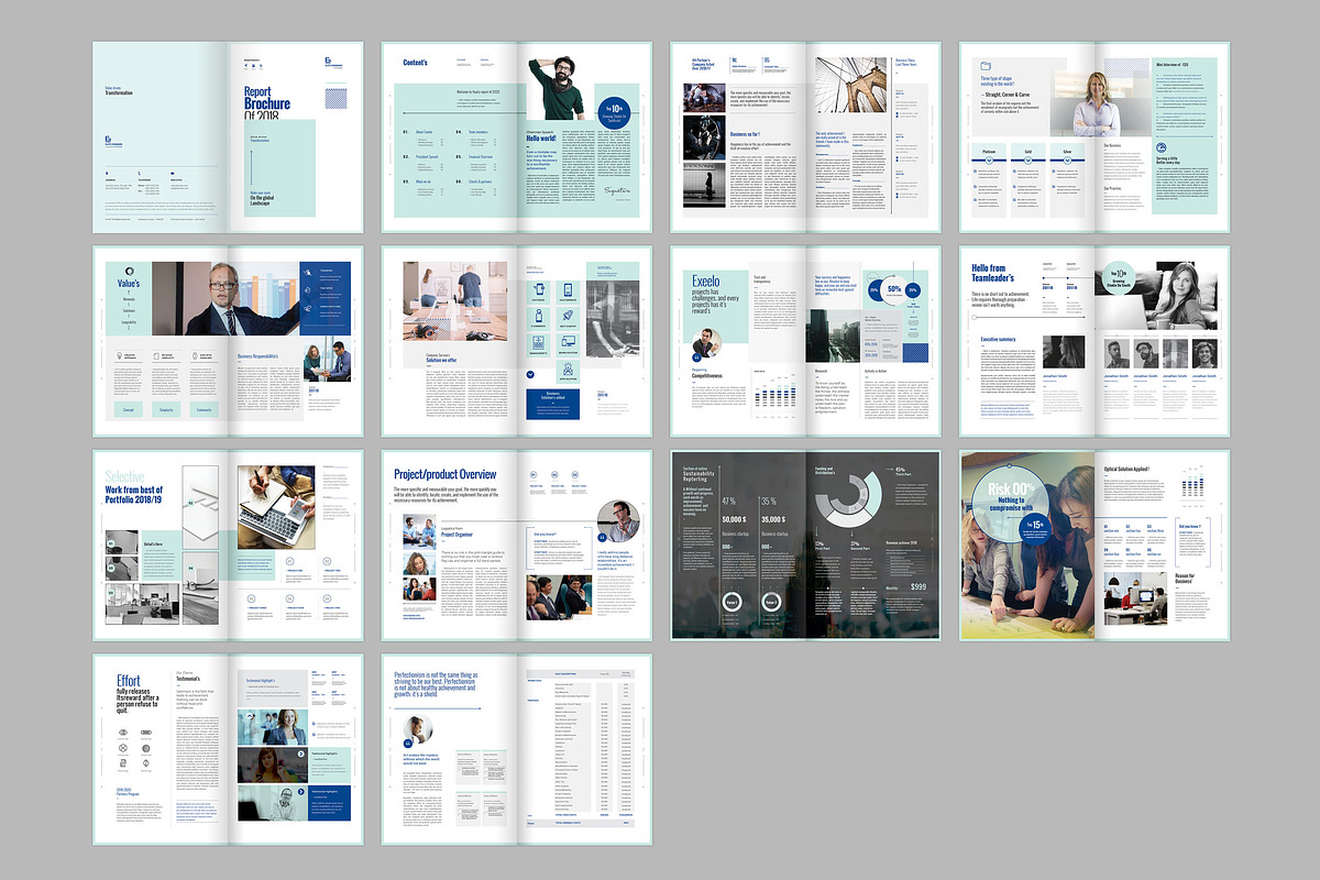 Annual Report, a Brochure Template by Elite_Standard (Photo 12 of 12)