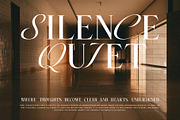 Newton Scient Calligraphy Serif Font, a Serif Font by Graphicxell (Thumbnail 9 of 10)