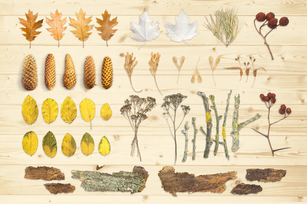 Autumn Floral Mockup Objects, an Object Graphic by uncle-rico (Photo 1 of 13)