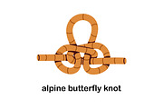 Knots, loops, tied ropes set, an Object Illustration by Good Studio (Thumbnail 8 of 21)